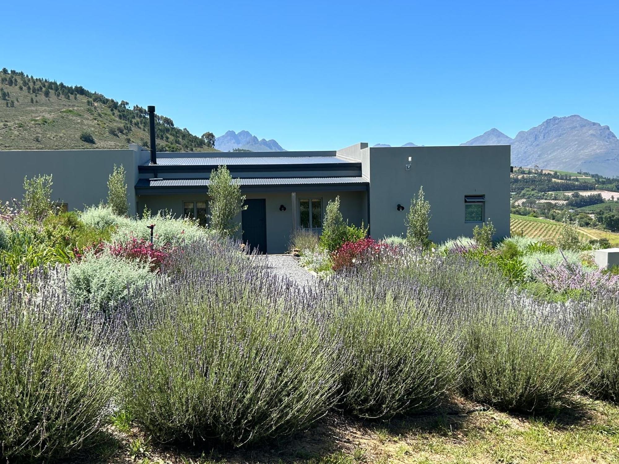Windon Vineyard Farmhouse Stellenbosch Exterior foto